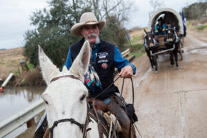 Rodeo