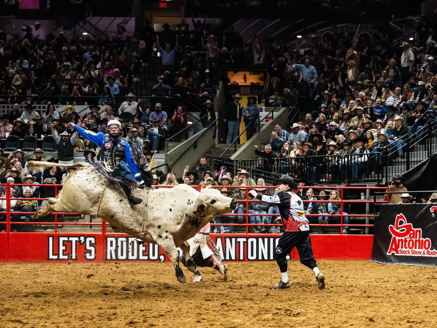 Rode Rider Dog Underdog triumph and the return of a top dog - Rodeo Lariat