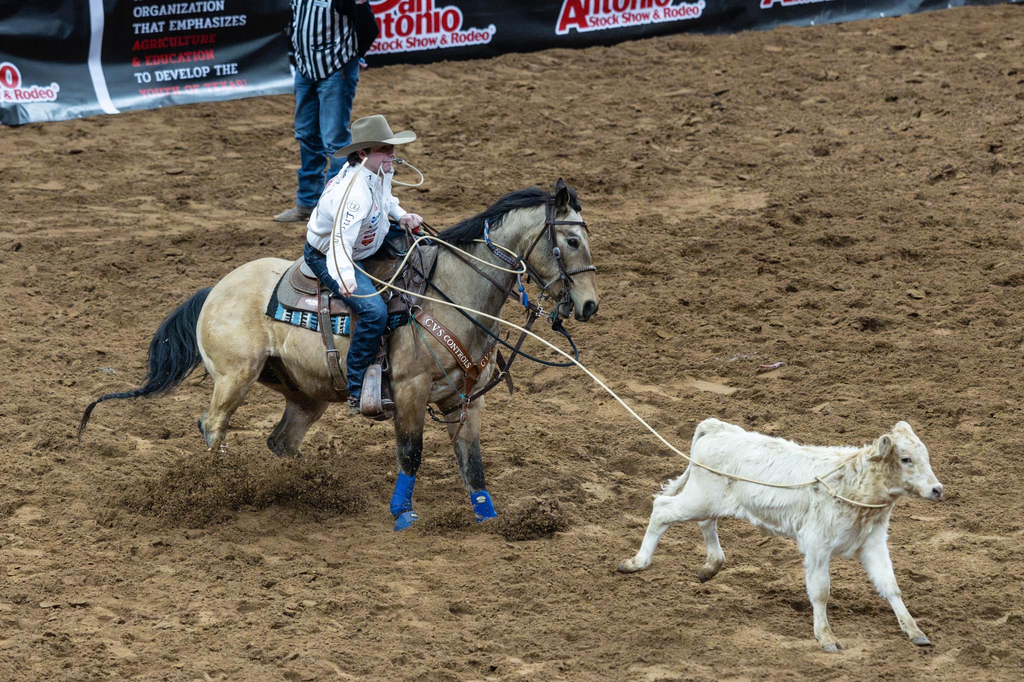 San Antonio Stock Show