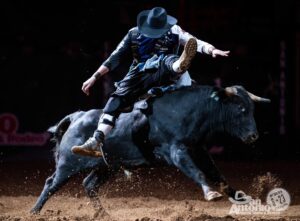 San Antonio Stock Show