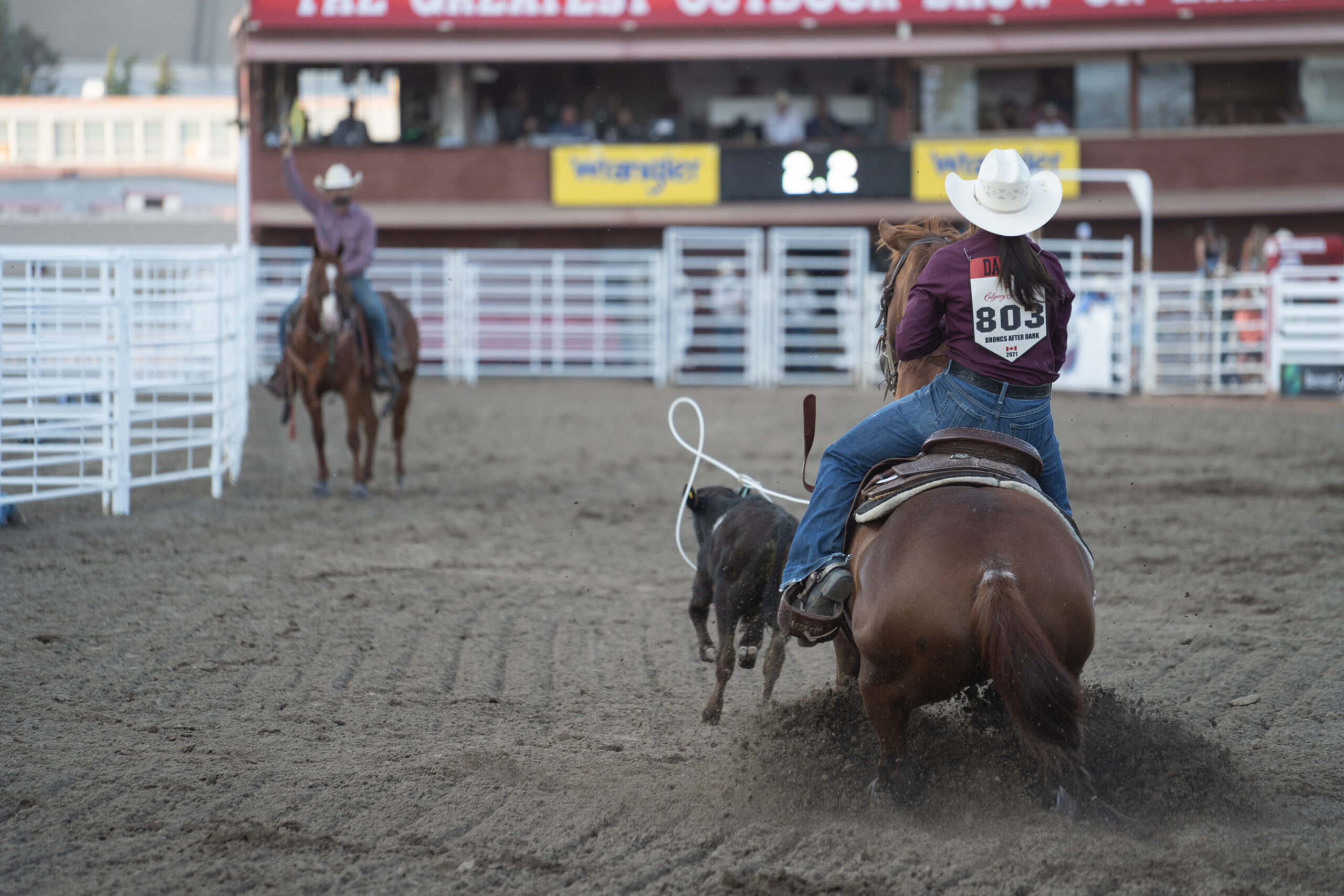 Calgary Stampede